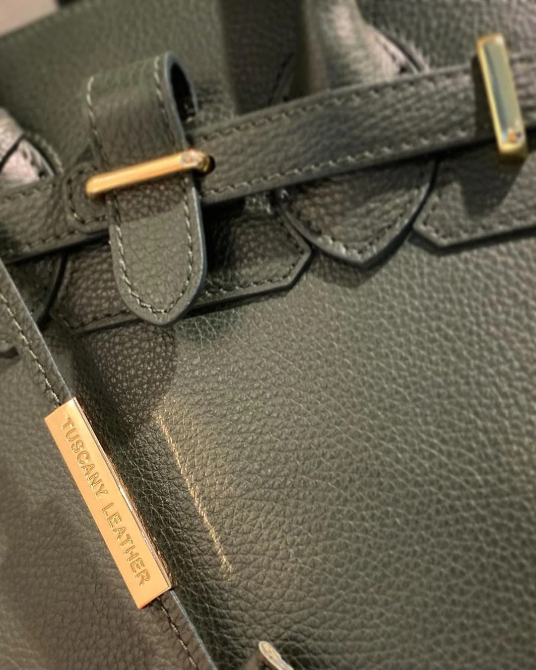 TL Bag - Leather handbag with golden hardware | TL141529 - Image 108