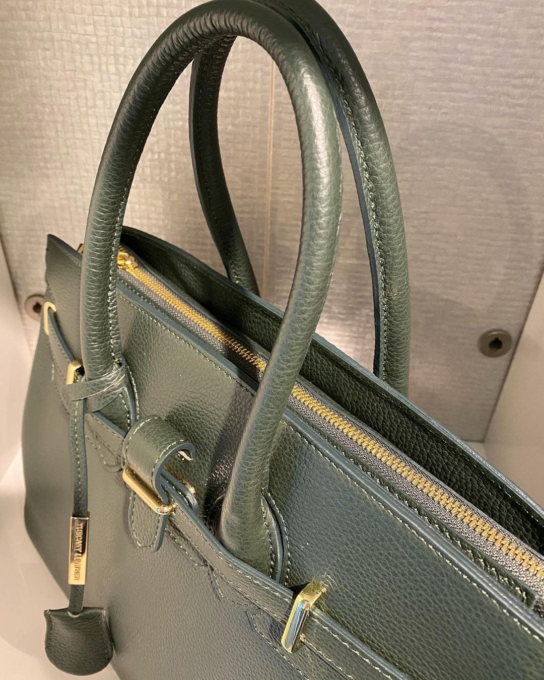 TL Bag - Leather handbag with golden hardware | TL141529 - Image 109